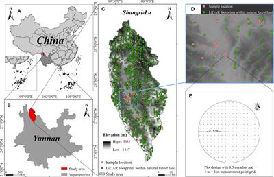 Spatial effects analysis of natural forest canopy cover based on spaceborne LiDAR and geostatistics